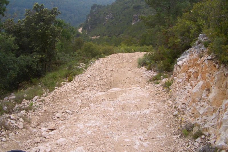 CIMG3128 [800x600]_jpg